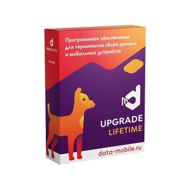 DataMobile, Upgrade 2.9 -> 3.0 Online