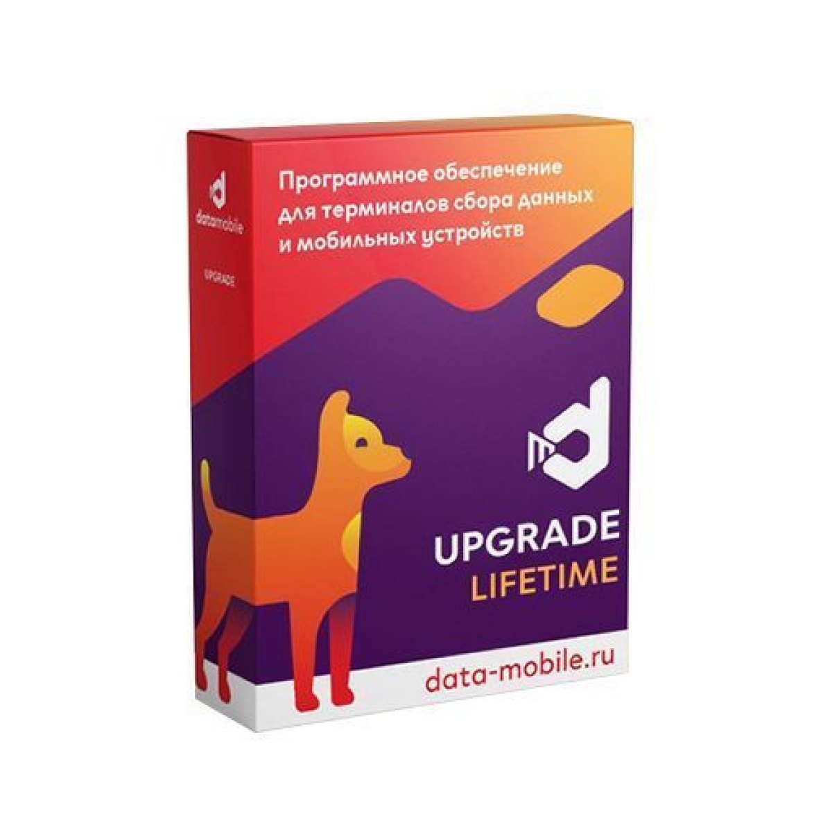 DataMobile, Upgrade с версии Стандарт до Online 