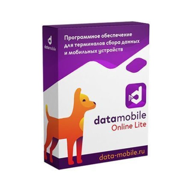 DataMobile, версия Online Lite - LifeTime