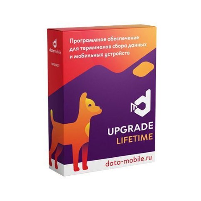 DataMobile, Upgrade с версии Стандарт до Стандарт Pro 
