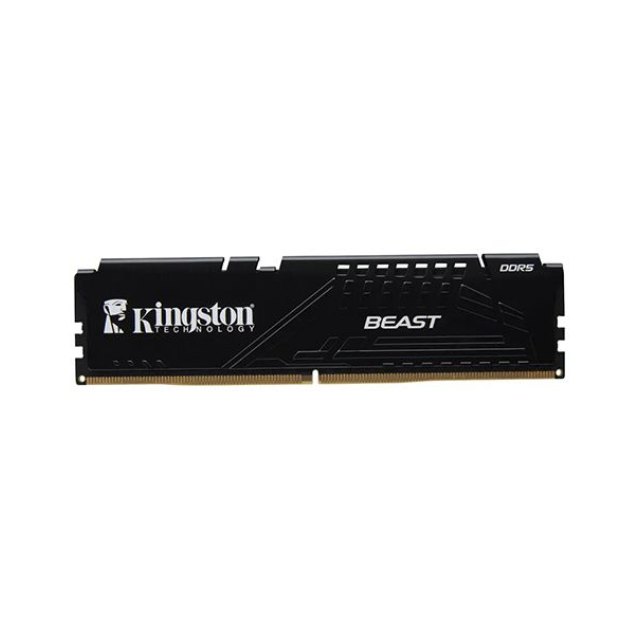 Оперативная память Kingston FURY Beast DDR5 16 ГБ 5600 МГц (KF556C36BBE-16)
