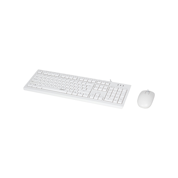 Клавиатура + мышь Rapoo X120PRO (Анг/Рус, Проводное, Белый) в Шымкенте от производителей  с доставкой по Казахстану