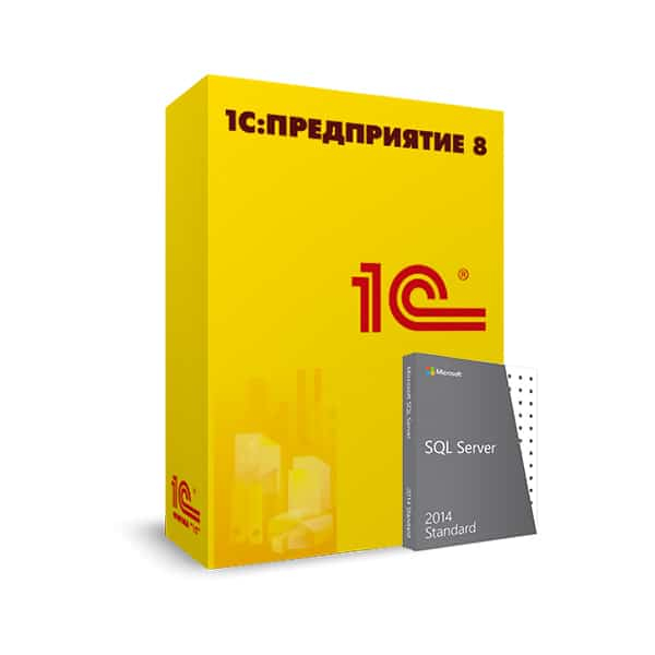 Лицензия на сервер MS SQL Server Standard 2016 Runtime для 1С:Предприятие 8 для Казахстана (Программная защита) в Шымкенте от производителей  с доставкой по Казахстану