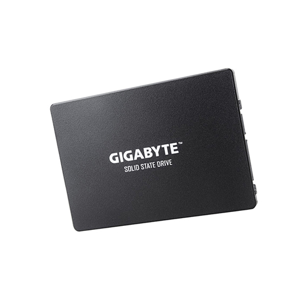 Твердотельный накопитель (SSD) Gigabyte GP-GSTFS31256GTND 256 ГБ 2.5 (4719331804329) в Шымкенте от производителей  с доставкой по Казахстану