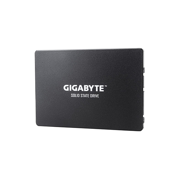 Твердотельный накопитель (SSD) Gigabyte GP-GSTFS31256GTND 256 ГБ 2.5 (4719331804329) в Шымкенте от производителей  с доставкой по Казахстану