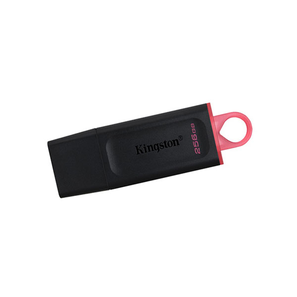 USB Флешка 256 ГБ Kingston DataTraveler Exodia USB 3.2, Черный