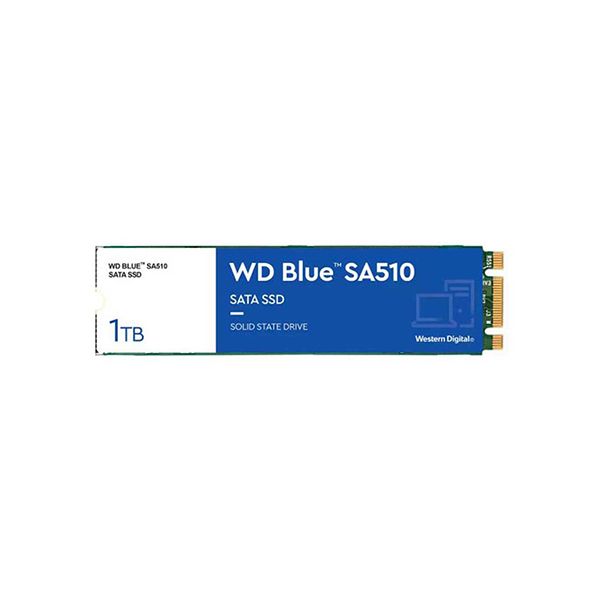 Твердотельный накопитель (SSD) Western Digital Blue SA510 WDS100T3B0B 1 ТБ M.2 2280 в Шымкенте от производителей  с доставкой по Казахстану